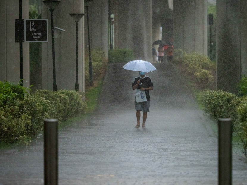 Singapore, like other countries, is feeling the impacts of climate change, facing hotter weather and rising sea levels.