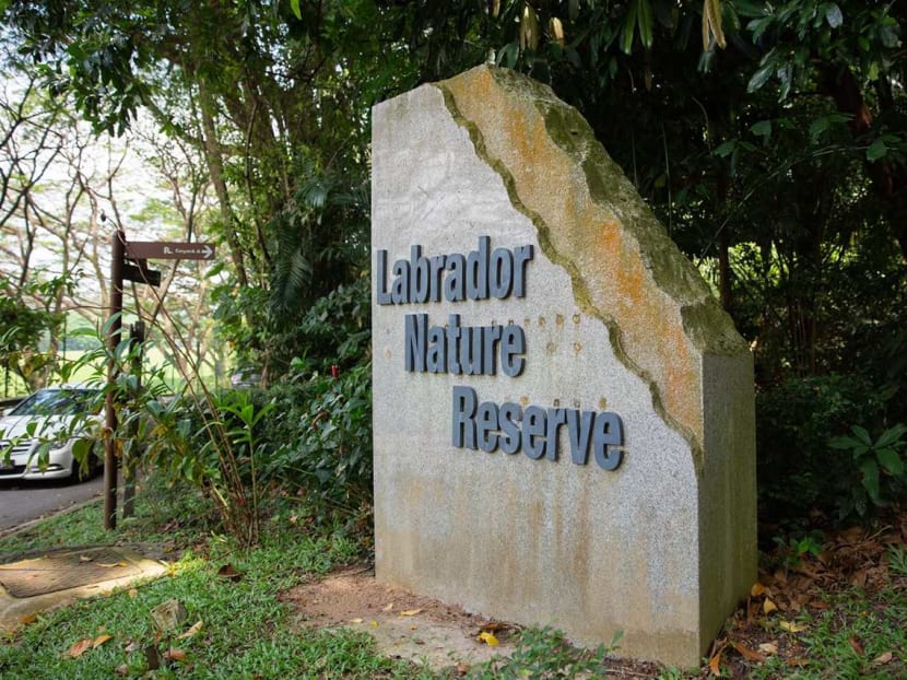 Labrador Nature Reserve is part of the Labrador Nature Park Network.